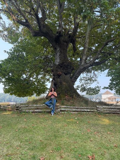 Jessie, Wild Roots Yoga instructor, practicing Tree Pose beside a large tree outdoors.