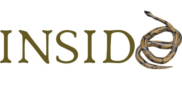 Word 'INSIDE' with snake as the letter 'E'
