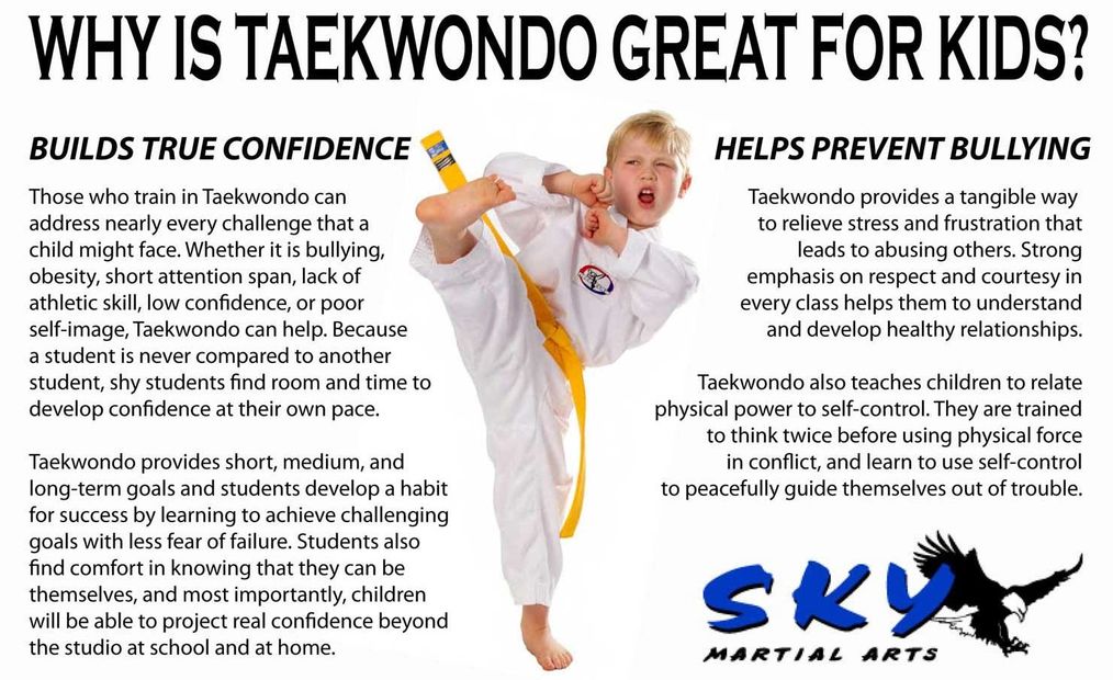 Sky Martial Arts kids adults Taekwondo self-defense family health activity Dublin Pleasanton school