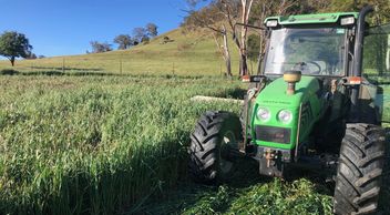 graza oats
omeo 
novmeber 2019
tractor pasture