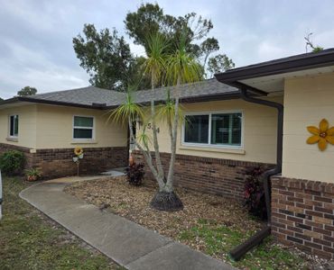 Front yard of a single-story house with a curved walkway and palm tree.