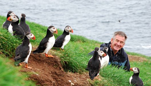 Nigel Marven and Puffins