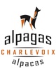 Alpagas Charlevoix