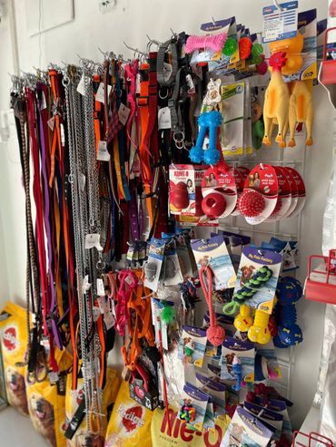 Dog Collar, Cat Collar, Harness, Dog toys, cat toys, Kong, Dog chain, Dog leash, Trixie