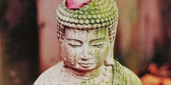 A stone buddha with rose petals