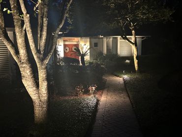 Pathway and up lights to safely enter your home