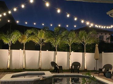 Trees are illuminated around pool