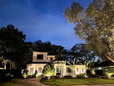 Classic White LED Landscape Lighting, with color changing