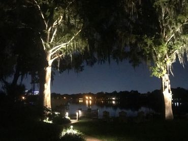 Path lights and up lights to illuminate the walkway to the dock by the lake