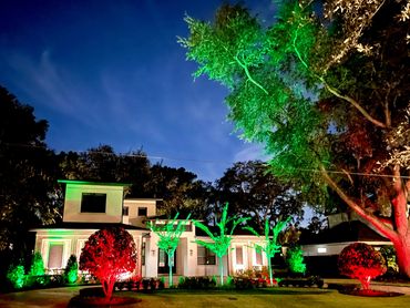 Holiday Holidays Colors with Color Changing Lights- Red & Green