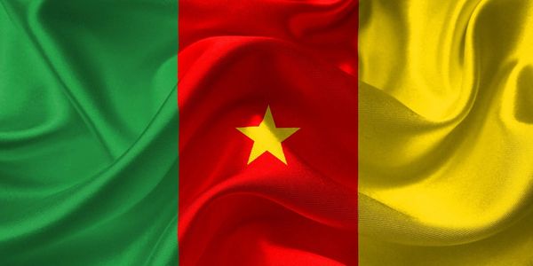 Waving flag of Cameroon with green, red, and yellow stripes and a central star.