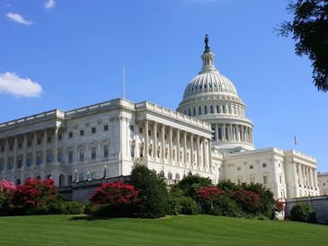 Picture of United States Capitol