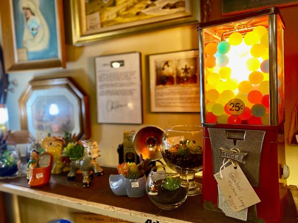 retropurposed
artist
local
antique store
thrift store
cozy
vintage
iowa
dyersville