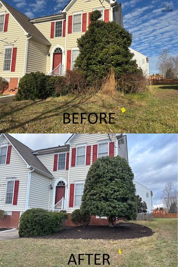 Mowing, trimming, edging, hedging, pruning, mulch application, weed removal, and leaf removal.