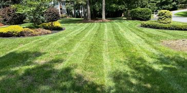 Mowed lawn with stripes, edging, and trimming.
