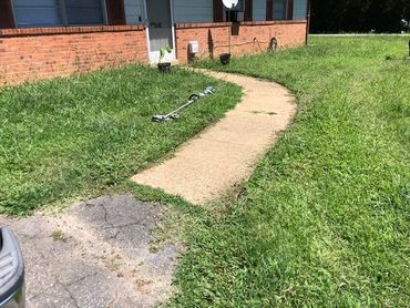 A picture before lawn maintenance was applied.