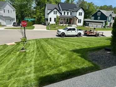 Mowed lawn with stripes, edging, and trimming.