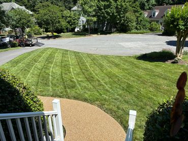 Mowed lawn with stripes, edging, and trimming.