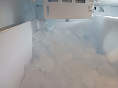 Lg ice maker with full ice bucket