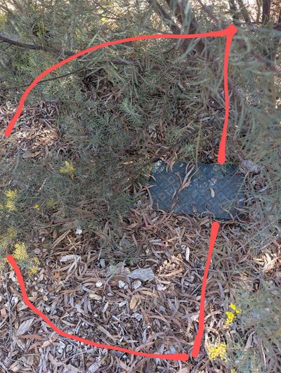 How to search for you irrigation shut-off tap, front garden,  Mawson, ACT.