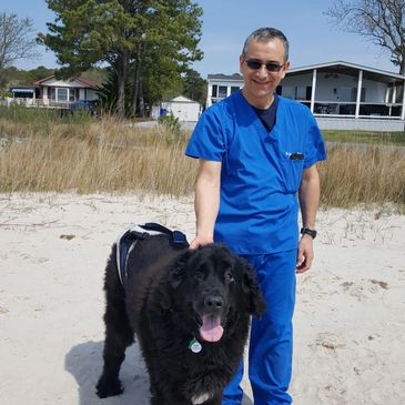 We provide progressive veterinary medicine, we took the patient for a short walk to evaluate subtle lamenes 