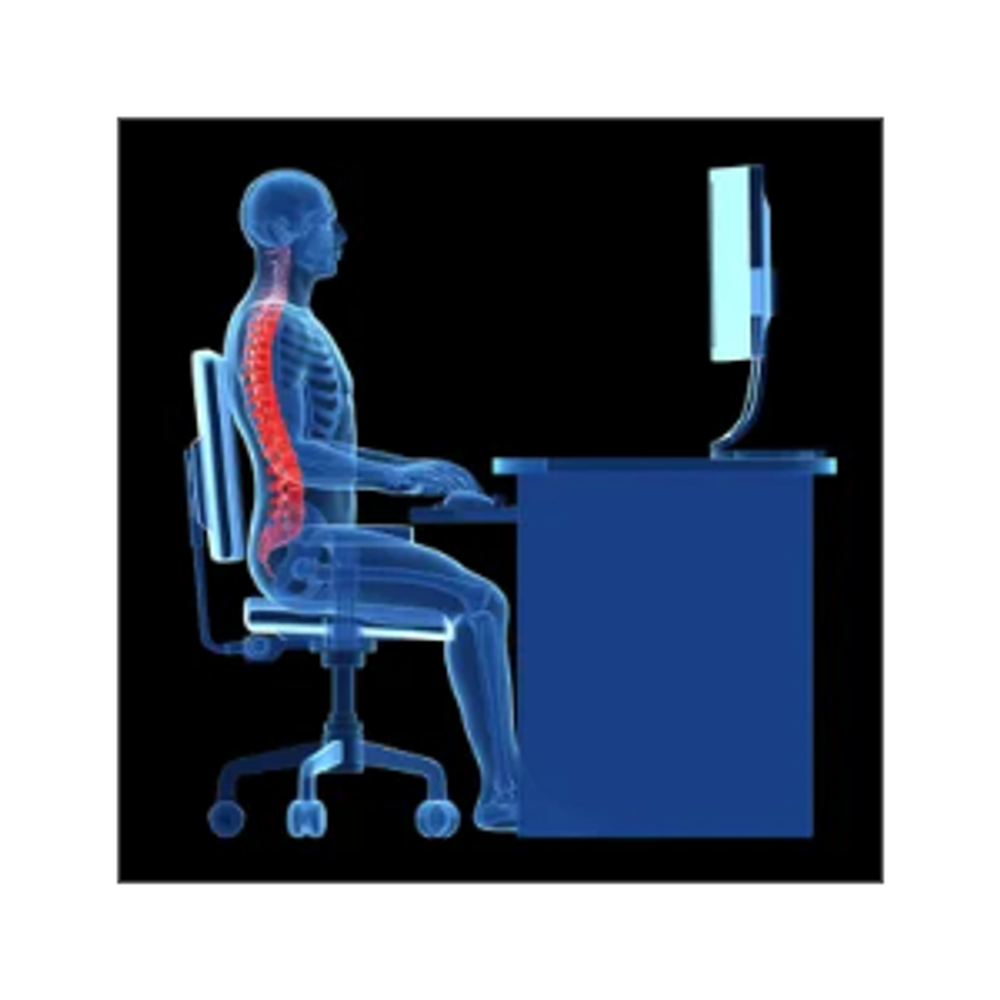 ergonomic evaluation/training/assessment, ergonomic mouse, chair, monitor, desk, posture, keyboard