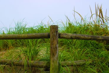 Old Orchard Beach Maine
Old Orchard Beach Yoga
Photo by Suzanne Nicklas