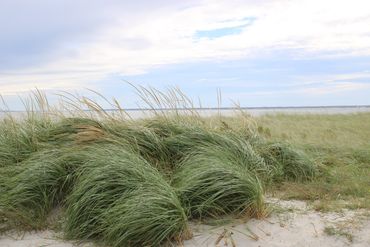 Old Orchard Beach Maine
Old Orchard Beach Yoga
Photo by Suzanne Nicklas