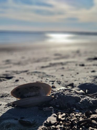 Old Orchard Beach, Maine
Old Orchard Beach Yoga
Photo by Suzanne Nicklas