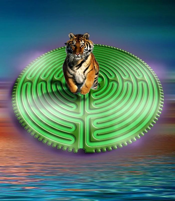 Labyrinth Facilitator and Spiritual Coach