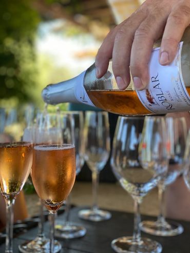 Roblar Winery in Los Olivos