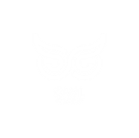 The Owl Group