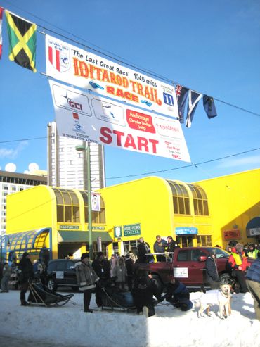 The Iditarod