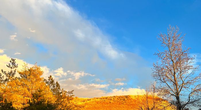 Boise ridge, Boise Idaho