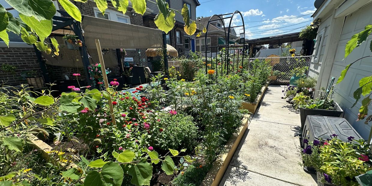 A vibrant backyard garden with flowers in raised beds and a sunny patio.