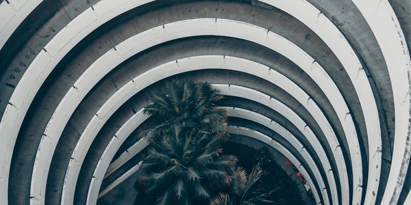 Curved architectural structure with palm trees.