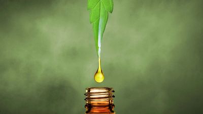 aromatherapy included with massage at JF Massage