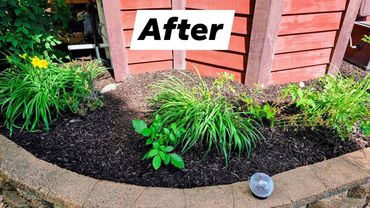 Flower bed beside red siding after the landscaping project, with mulch and original After label.