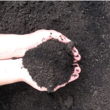 Human hands holding veggie mix soil