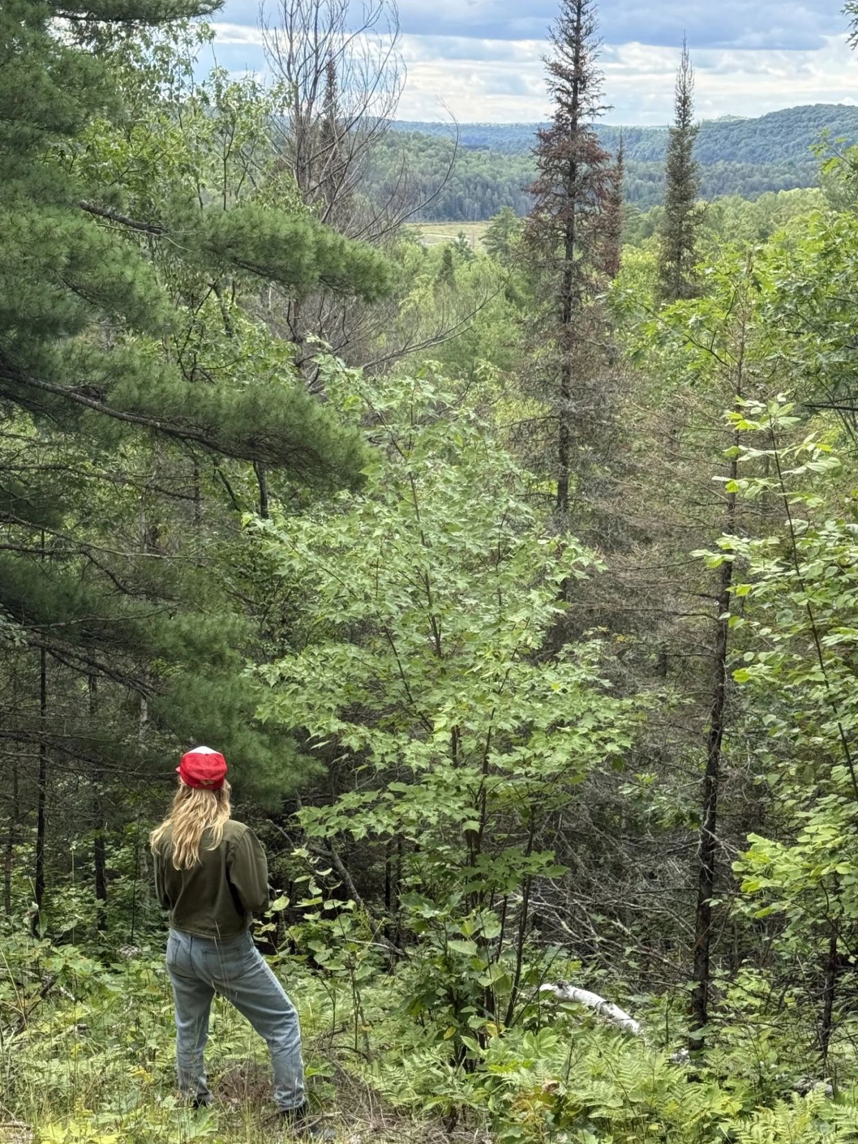 Person standing and looking at a dense forest with hills in the background.
