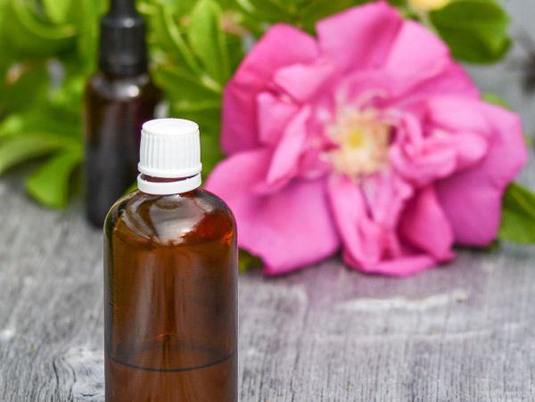 Synergie élixir floral