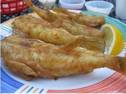 Northern puffer fried like a chicken leg after cleaned with a stainless steel tool.