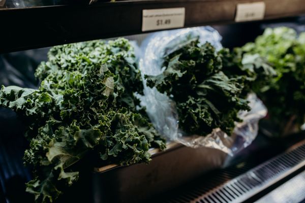 Bins of fresh kale