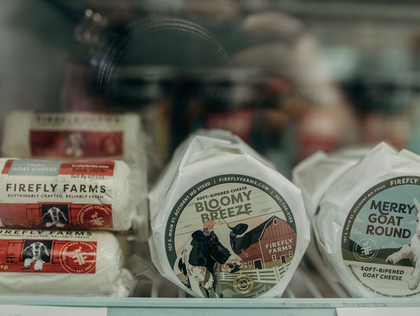 Assortment of Fire Fly Farms goat cheeses