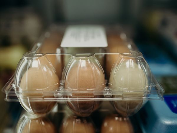 Brookstree Farm eggs