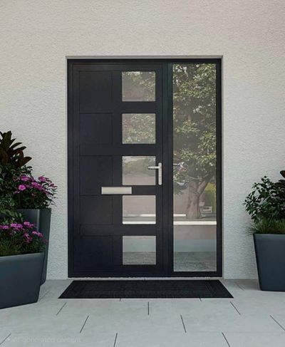 Modern black front door with glass panels and plants on sides.