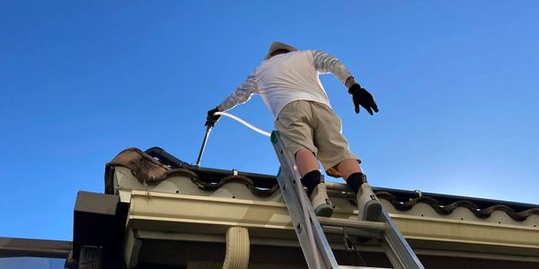 Naples Roof Cleaning from Lanai