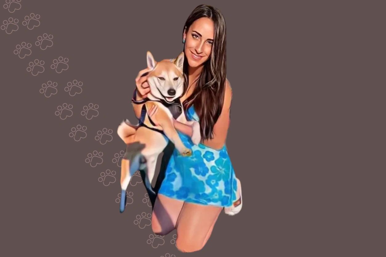 Premium Pet Grooming Boarding Services