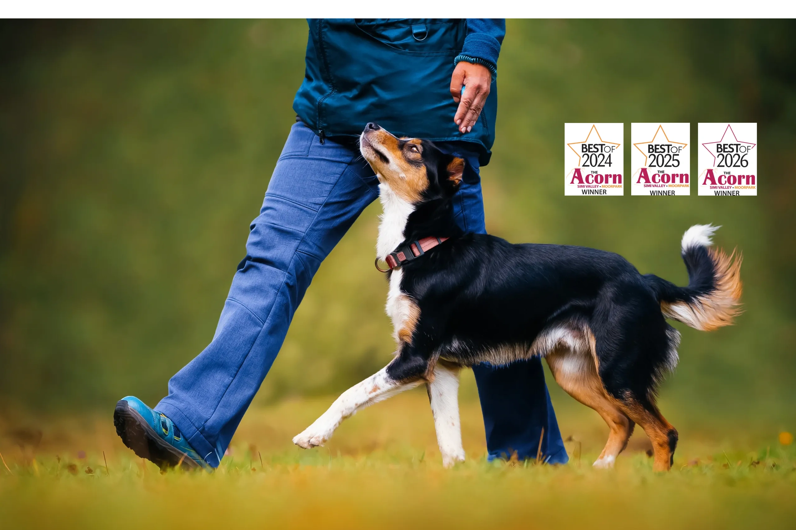 3 Dog Training, LLC