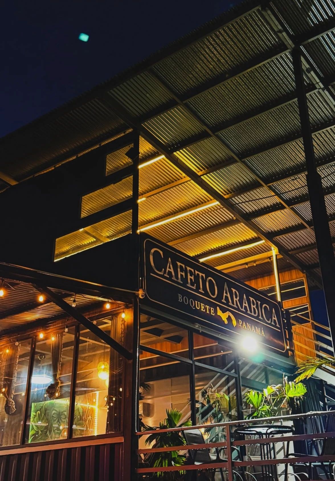 Cafeto Arabico in David